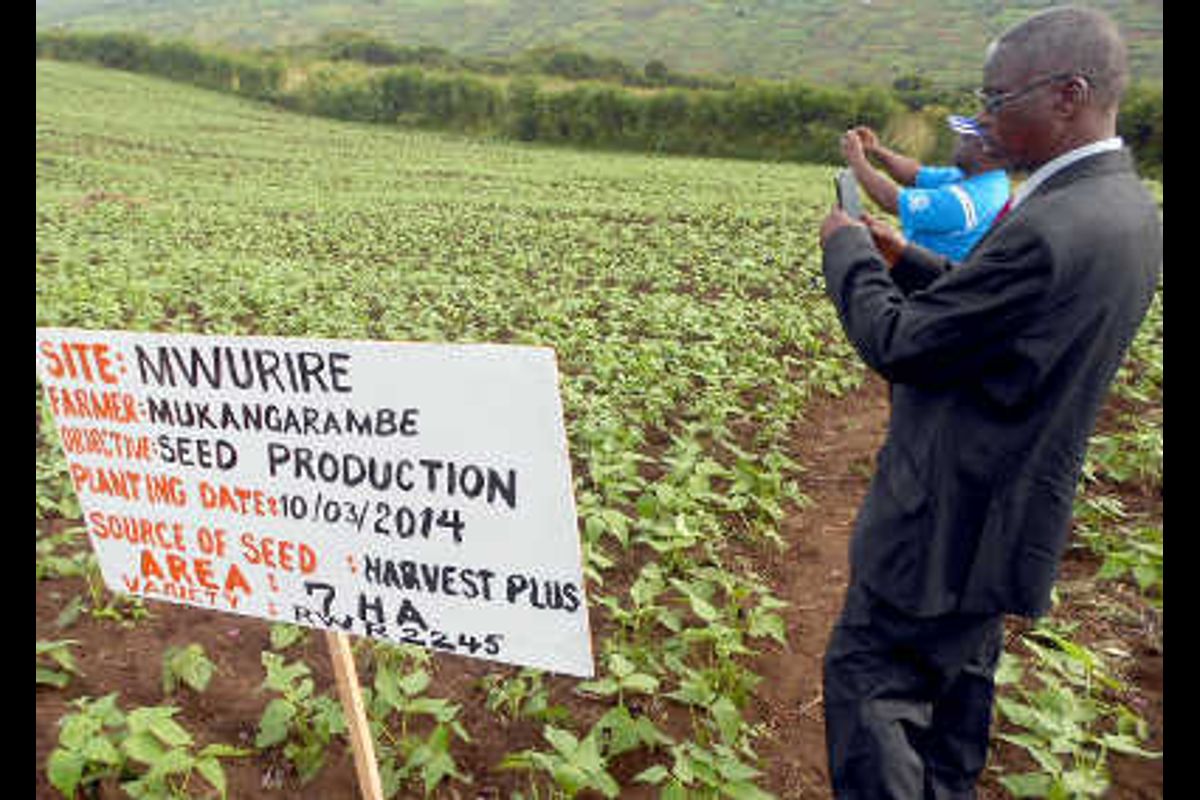 Rwanda: A story of two worlds in two decades | The Sunrise Newspaper