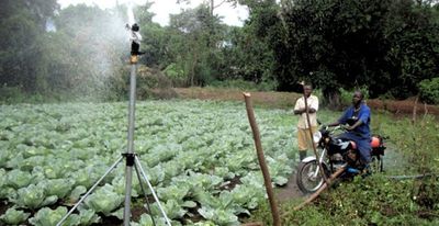 Time for action on irrigation is now