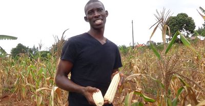 Private company to boost  quality of seed in Africa