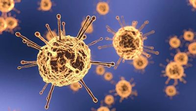 Commonwealth develops tracker to help countries monitor coronavirus