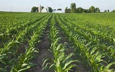 Locals urged to embrace large scale farming
