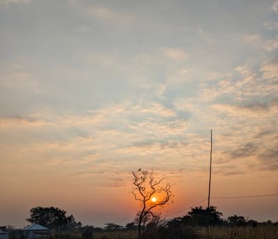 The power of sunlight: Understanding its benefits for health and well-being