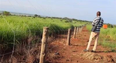 Electric Fence Brings Relief as Oyam Communities Are Safe from Wildlife Attacks
