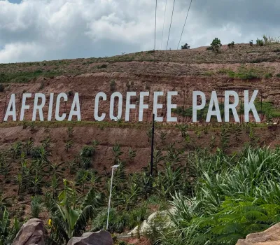 How Coffee Tourism is Empowering Uganda’s Farmers and Economy