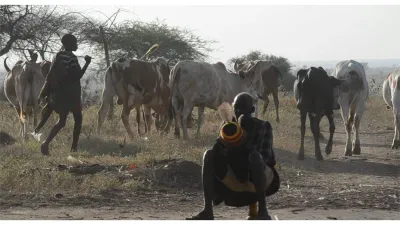 Karamoja Pastoralists Face Severe Water Crisis as Climate Change Dries Up Dams and Pasture