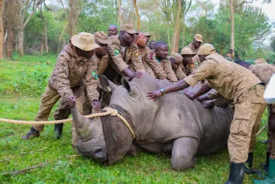 Uganda Reintroduces Rhinos to Kidepo Valley National Park After 43 Years
