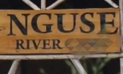 Kagadi Canoe Tragedy: Dozens Missing After Boat Capsizes on River Nguse