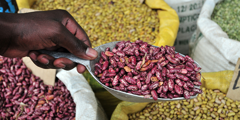 High and unstable prices for food items such as beans are having negative impacts on living standards and investments