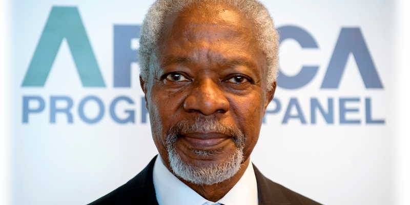 Kofi Annan, Chair of Africa Progress Panel