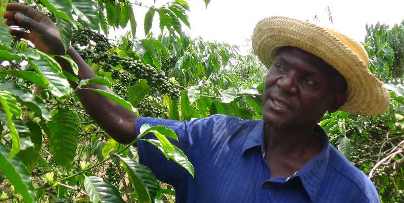 Ugandan Coffee Farmer Charles Lwanga prides in the power of quality seeds. He is confident about a better future