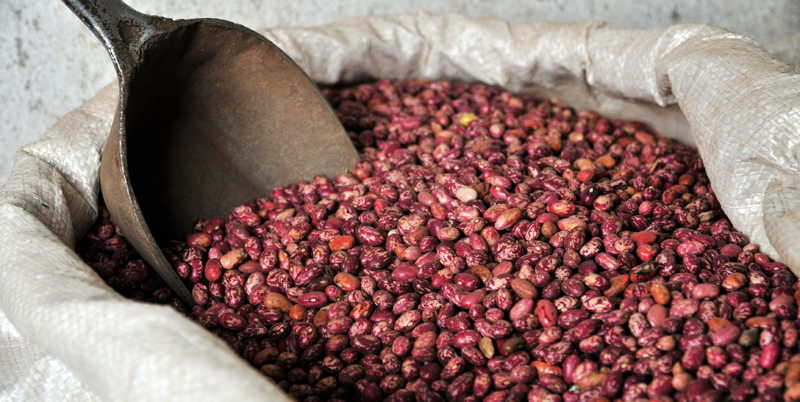 Beans are the biggest source of proteins for most Ugandans