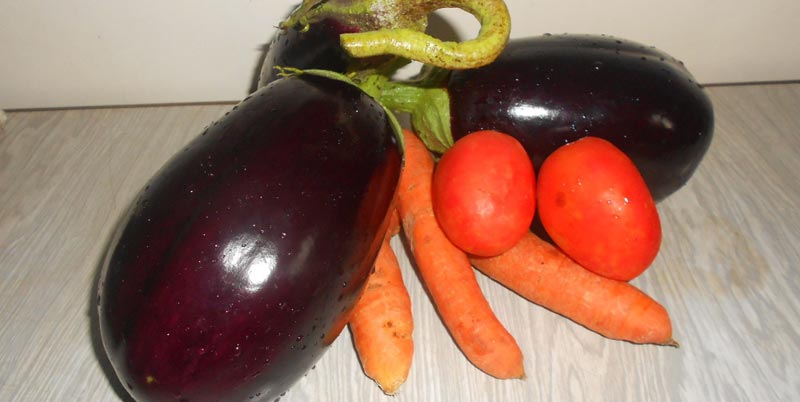 Producing vegetables like egg plants can bring money and better health