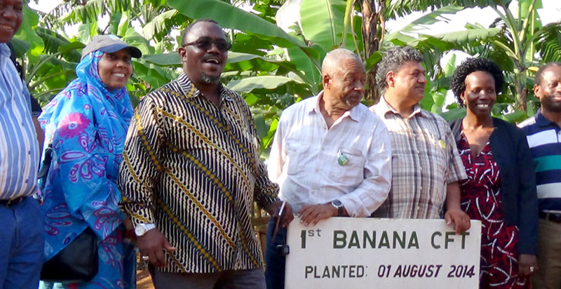 Adam Malima, in Kitenge shirt, led an 8-man team of pro-biotech advocates from TZ to tour Uganda's outstanding successes at Kawanda, Namulonge