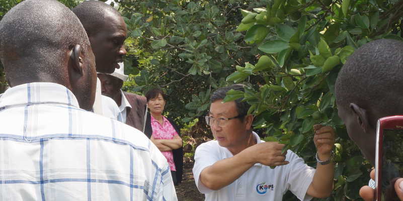 Dr. Jaewook explaining to orange farmers while on a recent tour in Teso sub-region