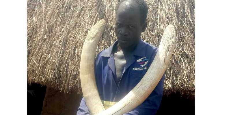 Elephant poacher Moses Odongo