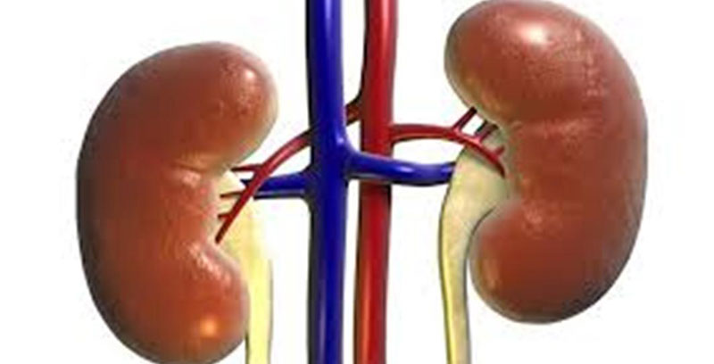 Mulago gearing up for Kidney transplants but where will they be getting the kidneys from