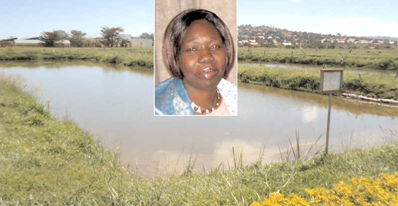 A fish pond at Kajjansi Research Development Centre (Inset) is Joyce Ikwaput Nyeko, Commissioner at the Ministry of Agriculture
