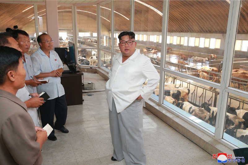 Supreme Leader Kim Jong Un inspects Ungok Area General Stock Farm. August, Juche107 (2018).