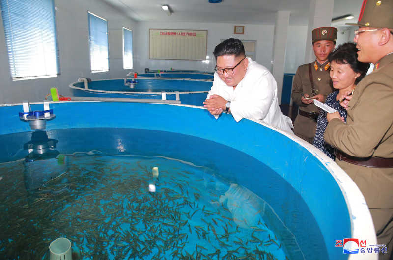 Supreme Leader Kim Jong Un gave field guidance to the Raksan Offshore Salmon Farm and the Sokmak Atlantic Salmon Pedigree Farm run by Unit 810 of the Korean People's Army. July, Juche 107 (2018).