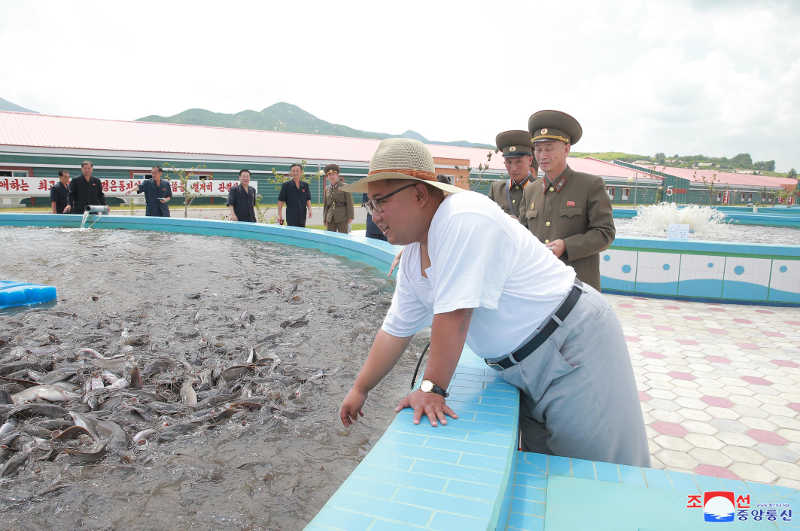 Supreme Leader Kim Jong Un inspects Samchon Catfish Farm. August, Juche107 (2018).