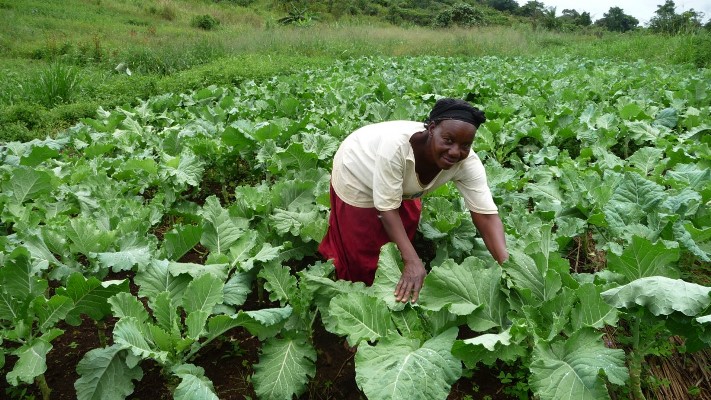 Ugandan-farmer