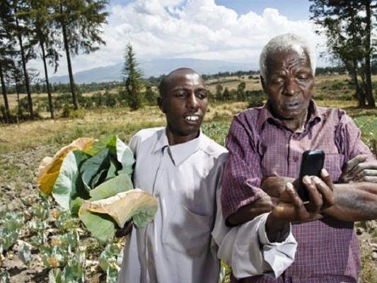ICT tools like mobile phones are some of the channesl to improve agriculture