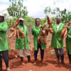 CBSD-free cassava