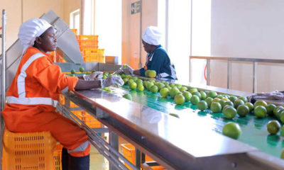 Uganda has comparative advantage in producing juices because of our geographical location that gives unique taste to fruits