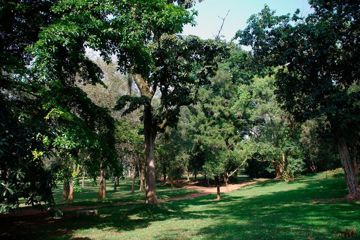 Entebbe-Botanical-Gardens