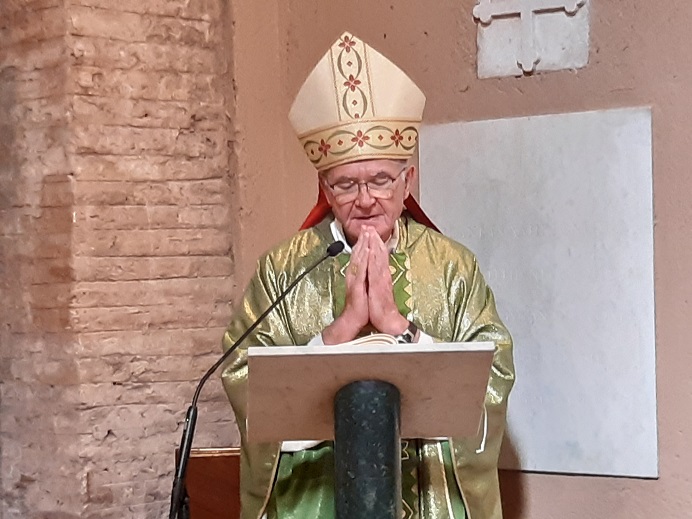 Cardinal-Brislin.peace_