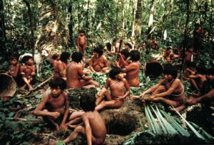 YANOMAMI POUND LEAVES FOR TIMBî, DEMINI, BRAZIL