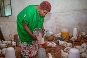 Marie Samba, who left the artisanal mines, now raises hens and quails. Here she is preparing feed for her poultry