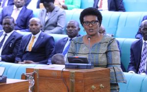 Minister of State for Primary Healthcare, Hon. Margaret Muhanga